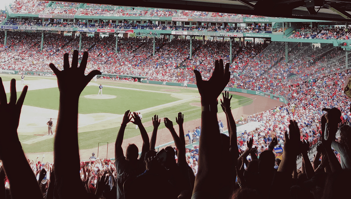 fenway baseball 2